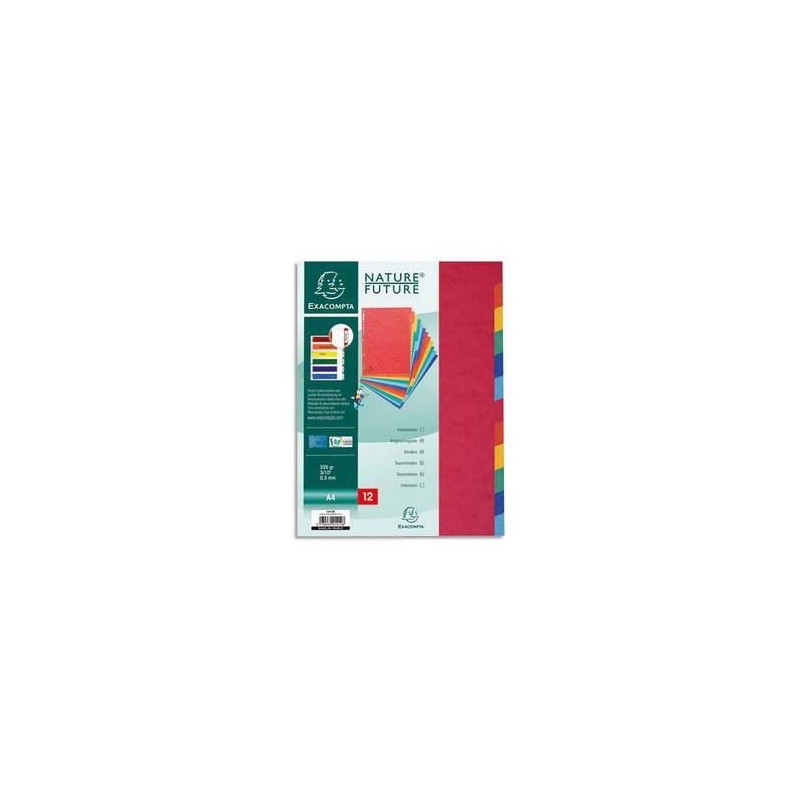 Intercalaires - jeu de12 -Exacompta - Format A4 - carte lustrée 3/10ème 225g - Perfo. 18 trous
