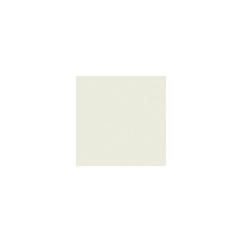 CLAIREFONTAINE Ramette de 500 feuilles papier couleur TROPHEE 80 grammes format A4 gris perle 1788