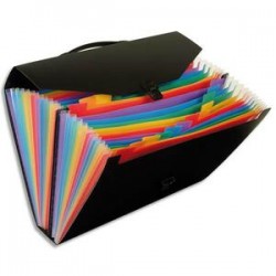 VIQUEL Trieur malette Rainbow 26 compartiments, polypro 10/10e, noir intérieur multicolore