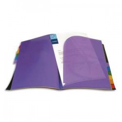 VIQUEL Protège-documents RAINBOW 12 onglets couleur. Format A4 , coloris noir