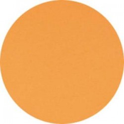 CLAIREFONTAINE Ramette de 500 feuilles papier couleur TROPHEE 80 grammes format A4 clementine 1878