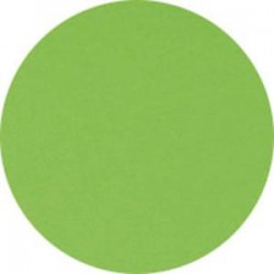 CLAIREFONTAINE Ramette de 500 feuilles papier couleur TROPHEE 80 grammes format A4 vert menthe 1875