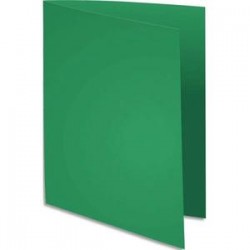 EXACOMPTA Paquet de 100 chemises Flash 220 teintes vives vert foncé, format 320x240mm
