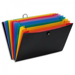 VIQ TRIEUR RAINBOW 12CPT PP N 111667-03