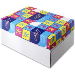 Color Copy, blanc, légèrement satiné sans bois ECF, 160g