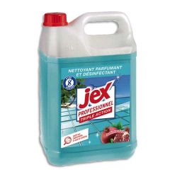 JEX PROFESSIONNEL Express Bidon de 5L Nettoyant multi-usages triple action plus parfum Jardin exotique