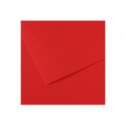 CANSON Manipack de 25 feuilles papier dessin MI-TEINTES 160g 50x65cm Rouge