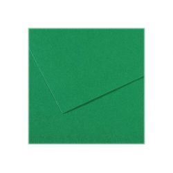 CANSON Manipack de 25 feuilles papier dessin MI-TEINTES 160g 50x65cm Vert