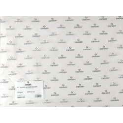 CANSON Feuille de papier buvard 250g 50x65cm Blanc