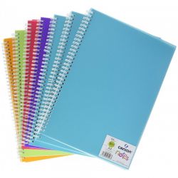 CANSON Carnets de notes 100 pages A4