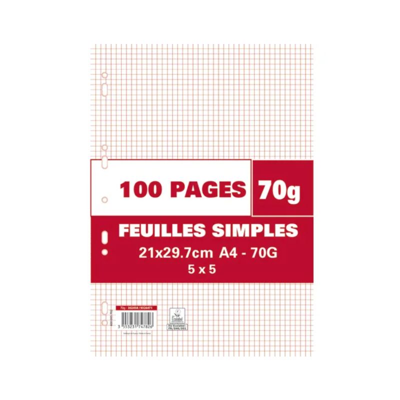 Sachet de 100 pages copies simples grand format A4 petits carreaux