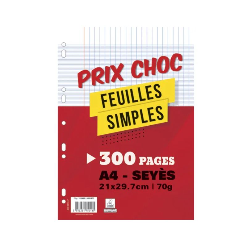 Copies doubles 200 pages perforées A4 - grands carreaux - 70g