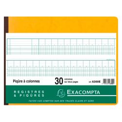 Registre piqûre exacompta colonnes 320x250mm 31 lignes 30 colonnes/2 pages 80 pages