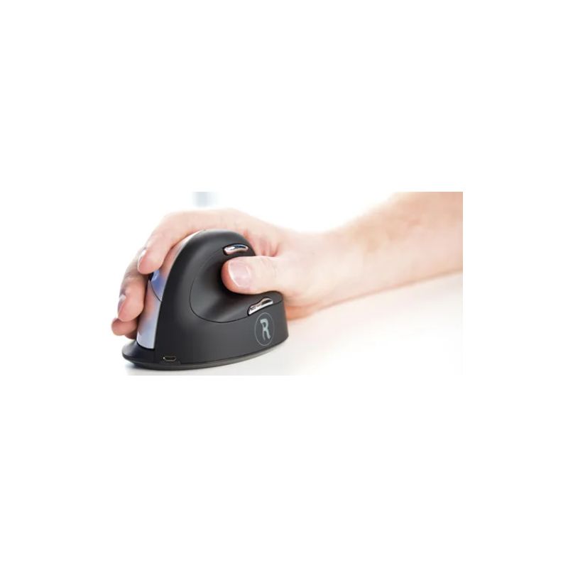 R-GO TOOLS Souris ergonomique sans fil verticale droite large