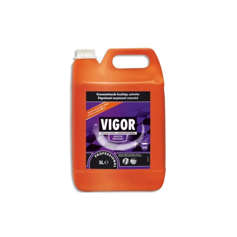 VGR BIDON 5L DETERG SURP VIGOR 100848164