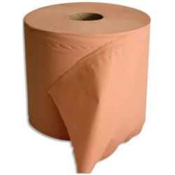 Lot de 2 Bobine d'essuyage 2 plis 1000 formats 30 x 21 cm - L300 m, bobine D25 cm chamois Eco