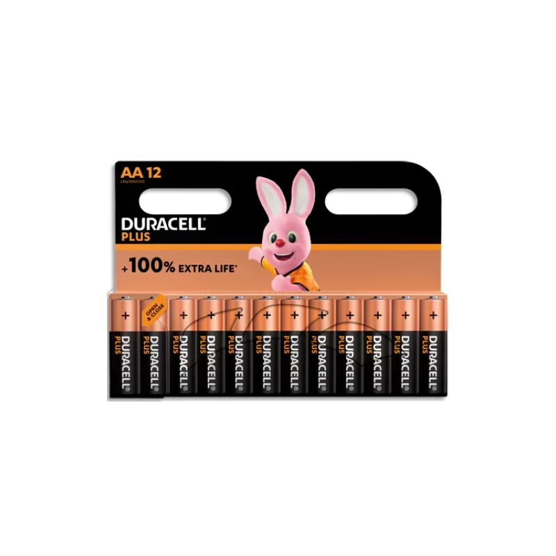 DURACELL Piles alcalines AA Plus 100%, 1,5V LR6 MN1500, lot de 12 piles