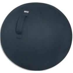 LEITZ Cosy Ballon d'assise ergonomique, gris, 52790089