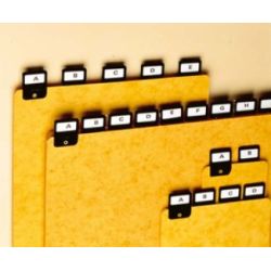  REXEL Jeu de 25 intercalaires avec onglet métallique pour boîte à fiches format A6 en largeur